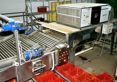 Qui vediamo la parte finale della porzione di linea dedicata al lavaggio e all'asciugatura delle arance in ingresso. L'acqua, arricchita di propoli, viene riscaldata fino a 55 gradi centigradi per ottenere una pastorizzazione della buccia. E' da sottolineare che l'acqua utilizzata in questo stabilimento e' potabile, a testimonianza dell'estrema cura verso la qualita'.