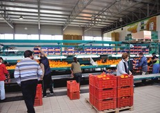 Dopo la fase della calibratura e della selezione elettronica dei frutti in base a diversi parametri, la merce arriva al banco di confezionamento.