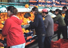 Il magazzino impiega fino a 30-35 persone.