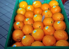 Cassettina di arance con bollino.