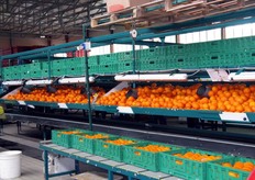 Una visione d'insieme del banco di confezionamento.