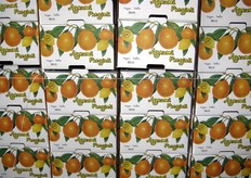 Parte della merce viene commercializzata anche come prodotto generico.