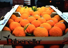Le arance vengono confezionate a marchio Riberella, che individua il prodotto originario di Ribera (AG).