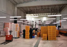 Il magazzino, di recentissima costituzione, e' in grado di lavorare fino a 4.000 tonnellate di mandarino.