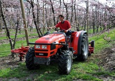 Prova pratica di un macchinario in grado di trinciare e rastrellare contemporaneamente.