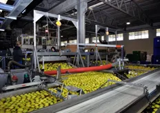 Lavorazione di mele destinate alla trasformazione industriale.