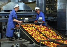 La risposta del mercato e' stata notevolmente positiva nella stagione 2008/09.