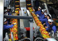 Grecia, Austria, Germania, Gran Bretagna e Spagna sono stati i principali mercati di vendita.