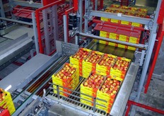 Pallettizzazione automatica delle cassette di mele Ambrosia.