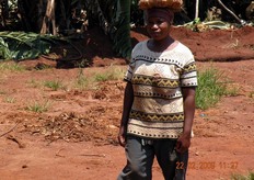 In assetto per la raccolta.