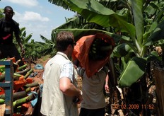 Il casco viene depositato su un camion.