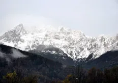 In Trentino, e precisamente a Pergine Valsugana (TN), FreshPlaza ha realizzato un reportage fotografico presso l'organizzazione di produttori Sant'Orsola.