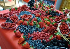 Una bella composizione di fragole e piccoli frutti.