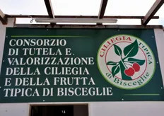 FreshPlaza si e' recata in Puglia, in visita presso il Consorzio di Tutela e Valorizzazione della Ciliegia e della Frutta Tipica Biscegliese (tra cui uva, fioroni e albicocche), costituito a marzo 2003.