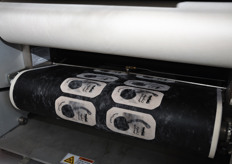 "Un panno assorbe tutte le parti "nere" della lastra...."