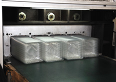 "Nel corpo fabbrica "gemello" a quello delle pellicole, CartonPack realizza i cestini ad uso alimentare."