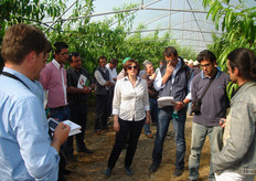 La Dott.ssa Suriano, durante il saluto ai partecipanti alla visita guidata, ha messo in evidenza l’importanza, per il comparto frutticolo italiano in crisi da alcuni anni, dell’ampliamento del calendario di offerta. Le varieta' selezionate dal gruppo spagnolo Inotalis – Planasa per l’aspetto esteriore, le caratteristiche organolettiche e la precocita' dell’epoca di maturazione possono rappresentare una risposta concreta alla forte concentrazione di produzione di pesche e nettarine del periodo estivo (giugno-settembre).