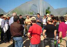 "Carmelo Mennone dell’ALSIA (AADS "Pantanello") traccia un quadro generale della frutticoltura lucana. Da una recente indagine emerge che e' in corso, in questa regione, un forte rinnovamento degli impianti in quanto il 44 per cento dei frutteti ha eta' compresa da 1 a 6 anni e il 41 per cento tra 7 e 12 anni."