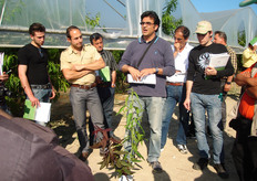 Riguardo l’epoca di maturazione, le scelte del frutticoltore lucano ricadono principalmente su varieta' a maturazione extraprecoce e precoce, concentrate per circa 2/3 nel mese di giugno. La forte spinta all’innovazione varietale, in Basilicata, e' dettata dalla necessità di conquistare nuovi spazi commerciali (nazionali e esteri), essendo quelli regionale continuamente saturi. Questa necessita' stimola un forte e continuo aggiornamento da parte dei frutticoltori lucani e un’offerta nel tempo e nella gamma sempre piu' qualificata e dinamica.