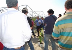 Per evitare contaminazione all’apparato radicale e per ridurre i tempi del ciclo di produzione le piante delle varieta' di nuova introduzione sono prodotte dai vivaisti del COVIL in ambiente protetto e fuori suolo. La fibra di cocco, il substrato di nuova generazione sterile, inerte e rinnovabile, consente di ottenere in meno di un anno piante di ottima qualita', pronte al trapianto in primavera.