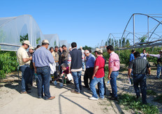 Il Prof. Cristos Xiloyannis fa notare come la qualita' del materiale vivaistico e' strettamente correlata anche al numero di gemme a legno presenti lungo l’astone. Con le moderne tecniche di produzione vivaistica e' possibile ottenere astoncini vegetanti pronti al trapianto in primavera gia' forniti di numerosi germogli ascellari su cui si potrà impostare la forma di allevamento desiderata.