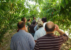 Momento della visita agli impianti dell’Azienda Agricola Agrifela di Policoro (MT). Le serre di Agrifela alcuni anni fa erano adibite alla coltivazione di ortaggi, attualmente sono state adattate alla coltivazione di nettarine (gruppo Zincal) a pesche (gruppo Plagold) delle varieta' spagnole a basso fabbisogno in freddo.