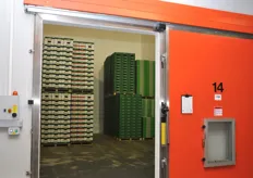 Sono state realizzate 24 nuove celle frigorifere (della capacita' di 65 mila quintali).
