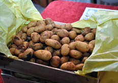 La cooperativa ACLI ha da poco inaugurato la sua nuova sede, su una superficie di 20.000 metri quadrati, di cui 2.000 coperti.