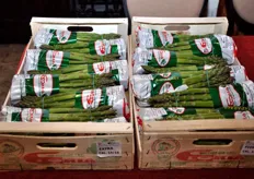 Nel corso della prima giornata di Workshop, anche alcuni produttori pugliesi di asparago hanno esposto la propria merce.