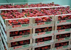 Le confezioni per i mercati all'ingrosso sono da 5 kg, in legno.