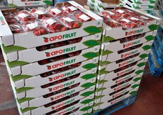 Cestini in flowpack.