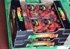 Cassetta da 2 chili, contenente otto cestini da 250 grammi (peso garantito).