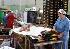 Linea di confezionamento fragole in cestini.