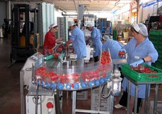 Linea di confezionamento per cestini da 500 grammi in flowpack.