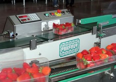 La pesatrice automatica smista i cestini a seconda che il loro peso sia in eccesso o in difetto rispetto ai 500 grammi garantiti del cestino.