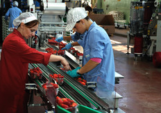 Si procede a togliere o aggiungere fragole, fino al peso di 500 grammi. Tale passaggio ulteriore, che pesa in termini di costo del personale e di ulteriore manipolazione di un prodotto gia' di per se' delicato, potrebbe essere risparmiato se la pesatura e prezzatura del cestino fossero lasciati al consumatore finale, all'interno del punto vendita.