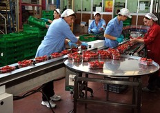 I cestini controllati vengono avviati alla macchina che applica su di essi l'involto in flowpack.