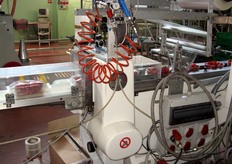 A destra, i cestini entrano nella macchina per il flowpack ed escono confezionati a sinistra.