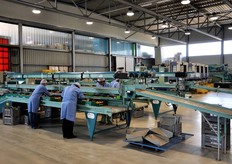 Qui si confezionano prevalentemente drupacee e agrumi da agricoltura biologica.