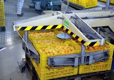 La linea di confezionamento e' completamente automatizzata.