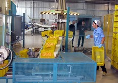 Le casse di prodotto conferito vengono avviate ad un macchinario per il rovesciamento.