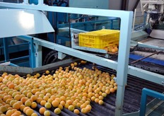 Fase di rovesciamento del prodotto.