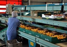 Banchi di confezionamento.