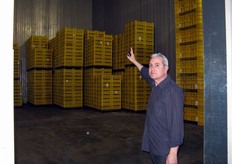 Lo stabilimento per i prodotti biologici e' dotato di 4 celle di stoccaggio.