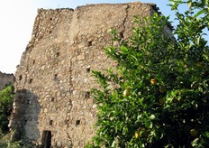 Un'antica stazione di posta si erge tra le piante di limone.