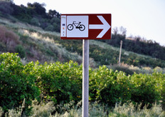 Un percorso ciclabile si snoda tra i limoneti.