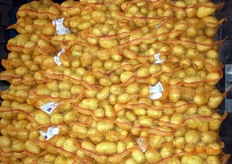 La sede dell'azienda - denominata Imparato Agrar GmbH & Co. kg. - e' in Germania e si occupa della produzione, commercializzazione e vendita di patate olandesi, francesi e tedesche.