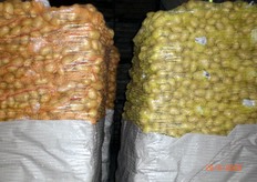 "Michelangelo Lauri dell'Ufficio Commerciale Italia dice: "Cerchiamo sempre di mantenere alto il nome della nostra azienda, fondata da Antonio Imparato"."