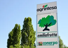 In data 11 giugno 2009, FreshPlaza si e' recata in visita presso lo stabilimento Agrintesa di Castelfranco Emilia (MO), per riprendere le fasi del confezionamento delle ciliegie.