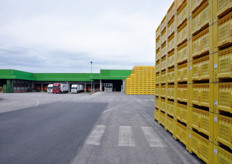 I principali prodotti lavorati sono: kiwi, pere, mele e frutta estiva. I volumi che transitano annualmente nella struttura arrivano anche a 90/100.000 tonnellate. Il 10 per cento circa del commercializzato deriva da impianti produttivi (siti sia nel Nord che nel Sud Italia), di diretta proprieta' di Salvi.